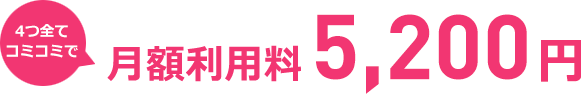 4つ全てコミコミで月額利用料5,217円